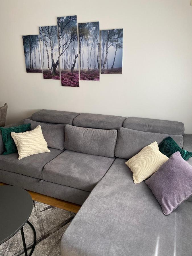 Apartman Pinora, Bazen&Spa Zlatibor Exterior photo